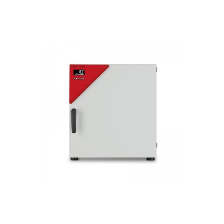 Estufa de Cultivo BINDER BD Avantgarde
