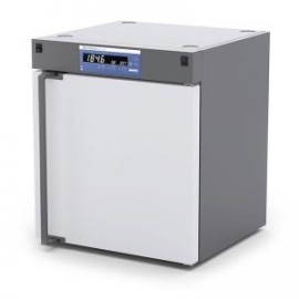 Horno de Secado IKA Oven 125